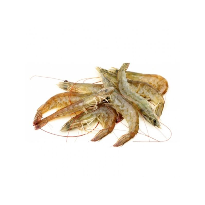 Mazzancolle