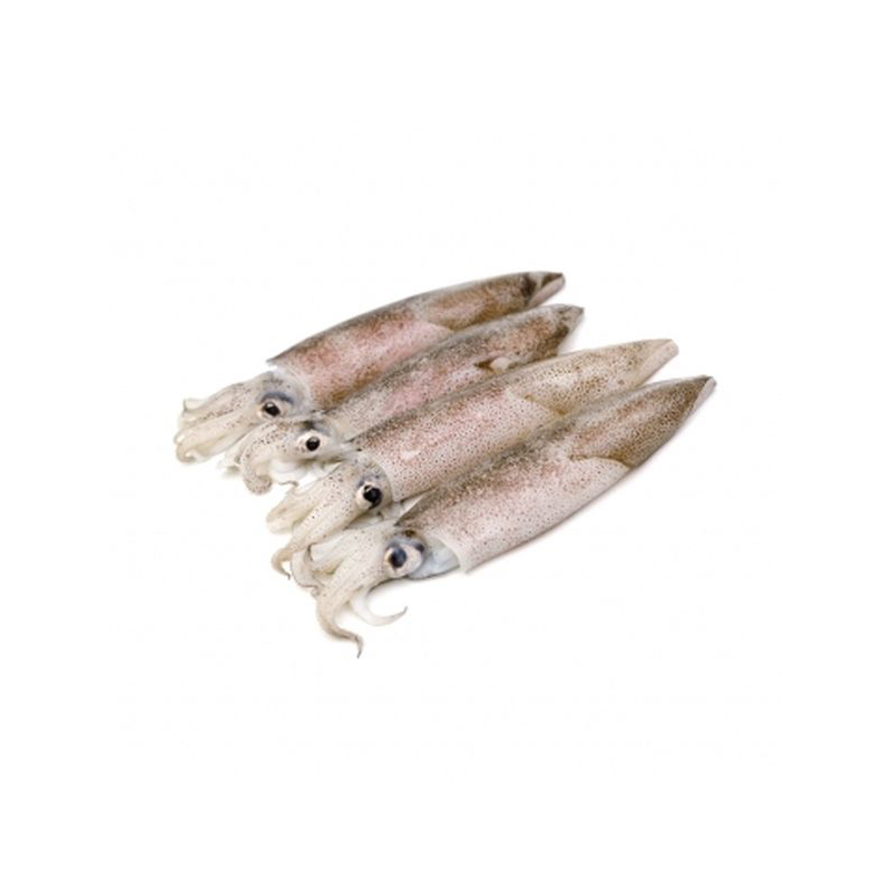 Calamari Fresco