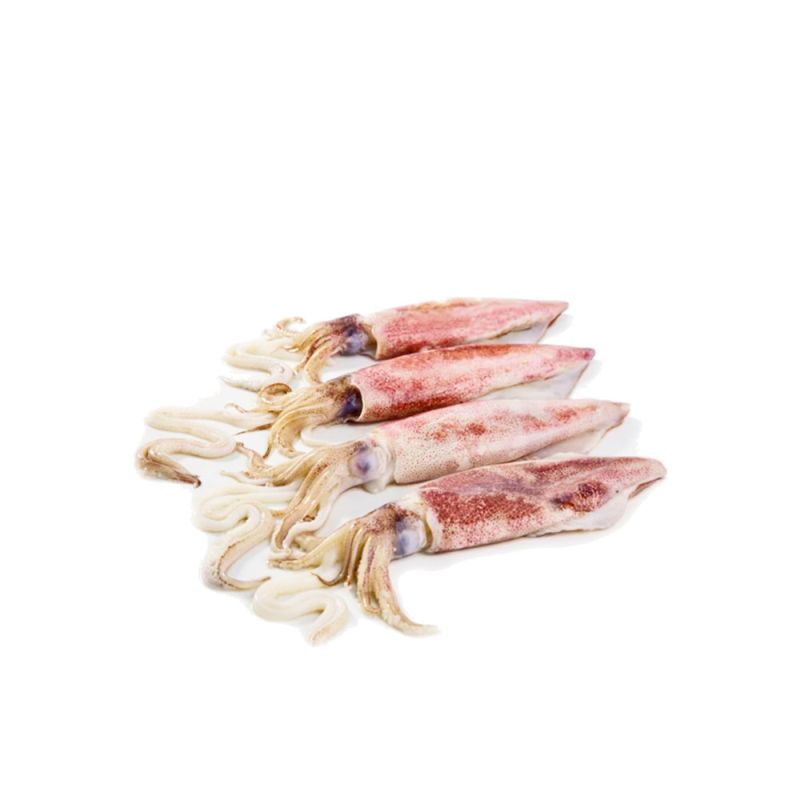 Calamari 3P