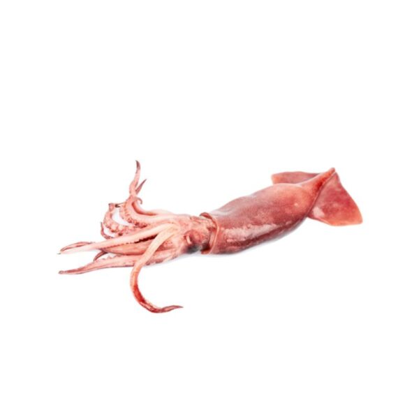 Totani