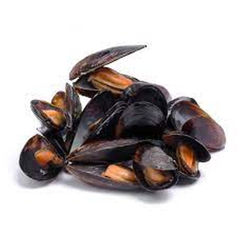 Cozze