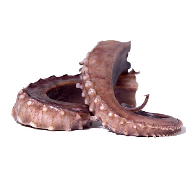 TENTACOLI DI TOTANO