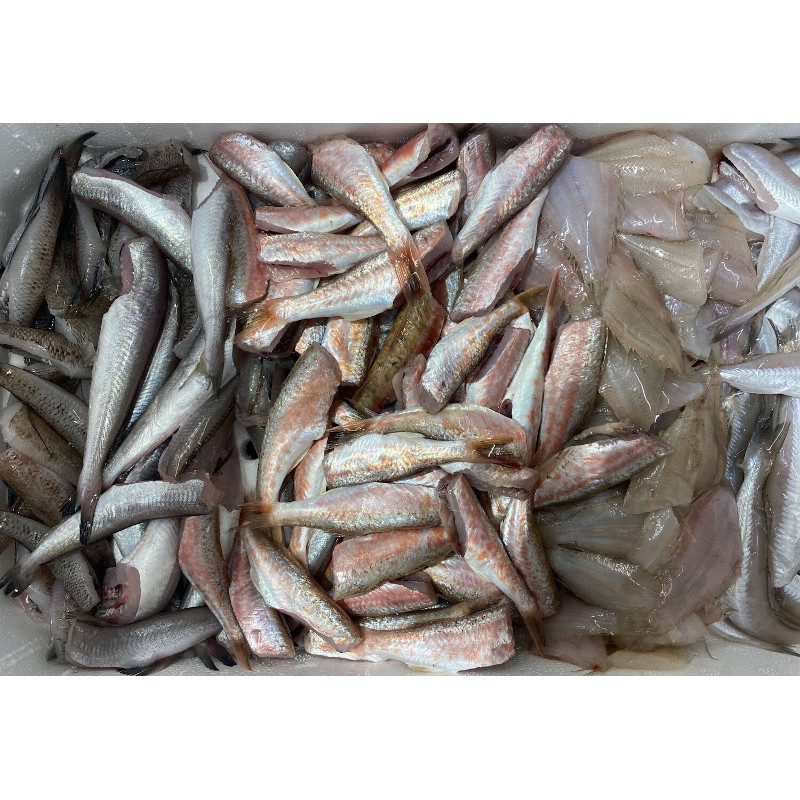 Frittura di Paranza